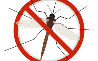 SE INICIAN LOS TRATAMIENTOS ANTIMOSQUITOS EN GUADALCÁZAR
