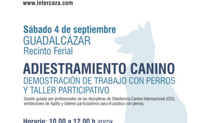Demostración de trabajo con perros y taller participativo.