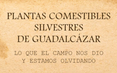Los mayores de Guadalcázar recopilan más de 50 plantas silvestres comestibles que han sido recogidas en un libro