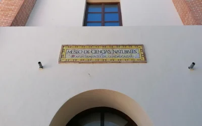 El Museo de Ciencias Naturales reabrirá el próximo año