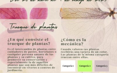 Guadalcázar celebra las Cruces de Mayo con un original trueque de plantas